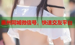 惠州同城微信号，快速交友平台