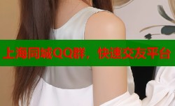 上海同城QQ群，快速交友平台